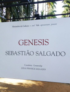 blog ssalgado