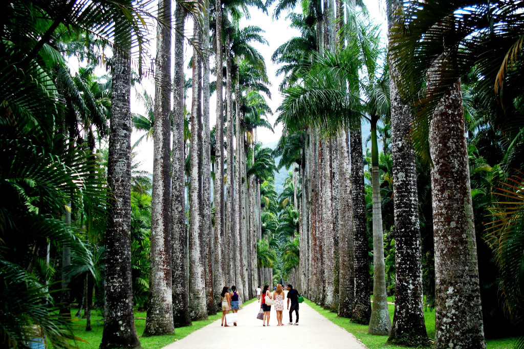 Jardim Botânico